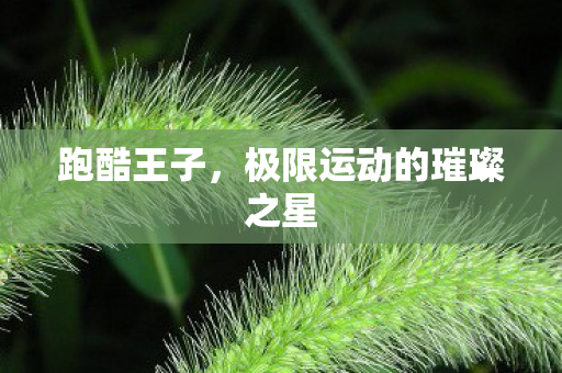 跑酷王子，极限运动的璀璨之星