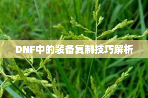 DNF中的装备复制技巧解析图片
