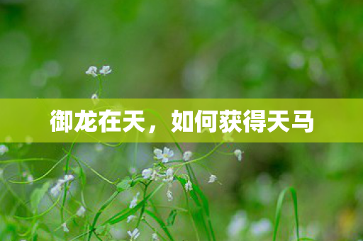 如何获得天马图片