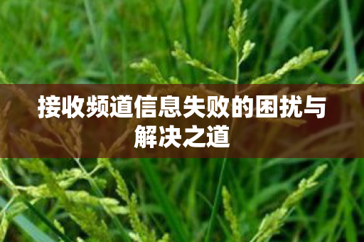 接收频道信息失败的困扰与解决之道图片