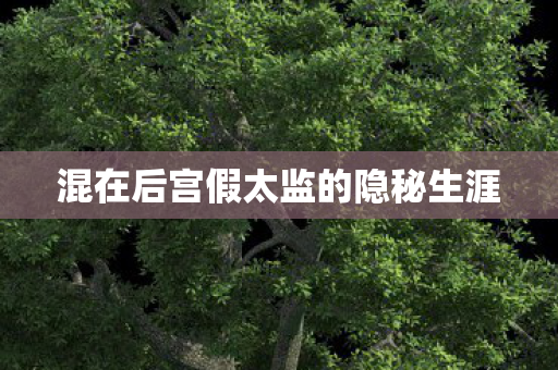 混在后宫假太监的隐秘生涯图片