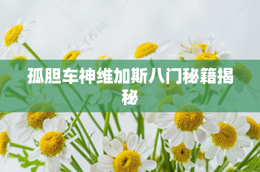 孤胆车神维加斯八门秘籍揭秘图片