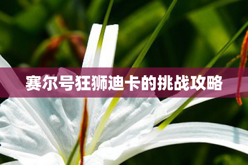 赛尔号狂狮迪卡的挑战攻略图片
