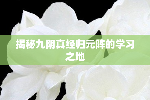 揭秘九阴真经归元阵的学习之地图片