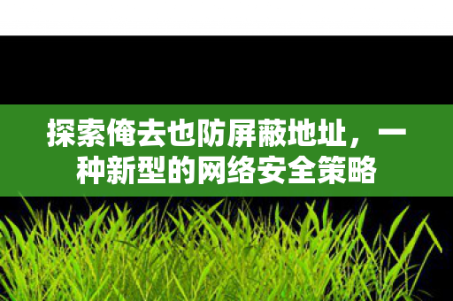 探索俺去也防屏蔽地址,一种新型的网络安全策略 探索俺去也防屏蔽地址,一种新型的网络安全策略
