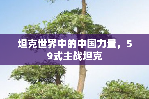 坦克世界中的中国力量，59式主战坦克
