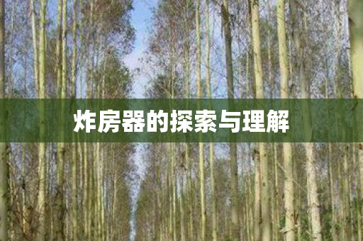 炸房器的探索与理解 炸房器的探索与理解