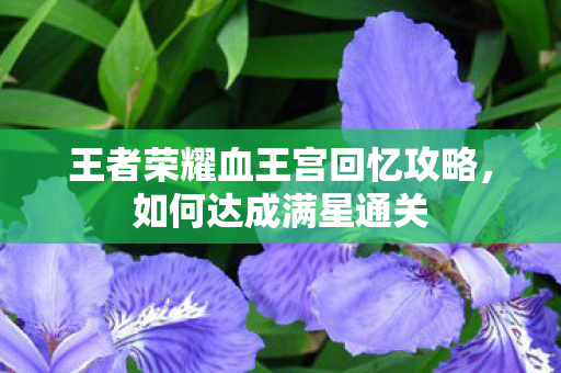 王者荣耀血王宫回忆攻略，如何达成满星通关