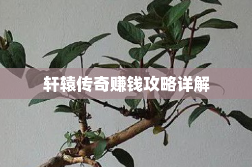 轩辕传奇赚钱攻略详解图片