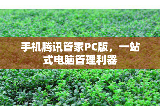 手机腾讯管家PC版图片