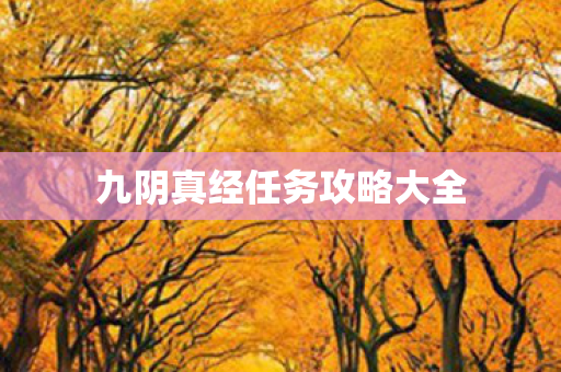 九阴真经任务攻略大全图片