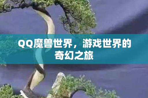 游戏世界的奇幻之旅图片
