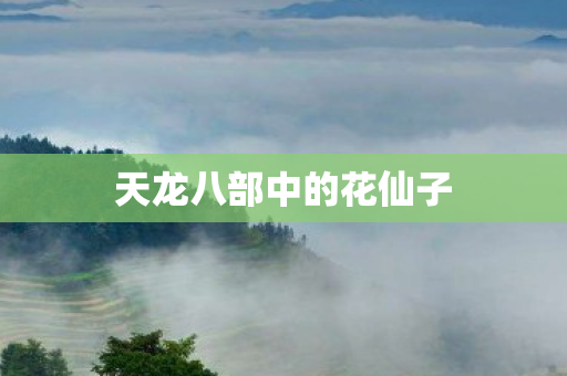 天龙八部中的花仙子图片