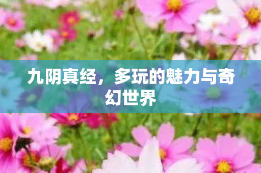 多玩的魅力与奇幻世界图片