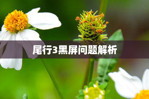 尾行3黑屏问题解析图片