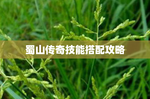 蜀山传奇技能搭配攻略图片