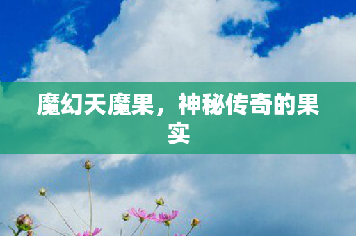 神秘传奇的果实图片