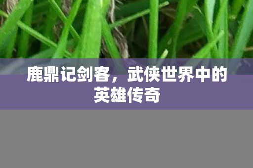 武侠世界中的英雄传奇图片