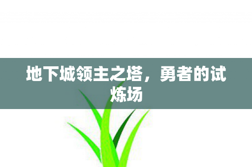 地下城领主之塔图片