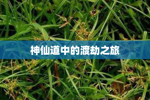 神仙道中的渡劫之旅图片