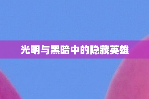 光明与黑暗中的隐藏英雄图片