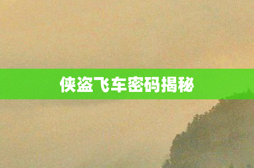 侠盗飞车密码揭秘图片