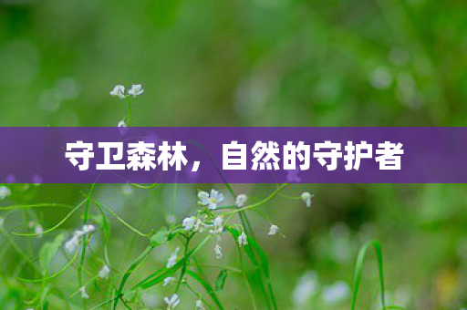 自然的守护者图片