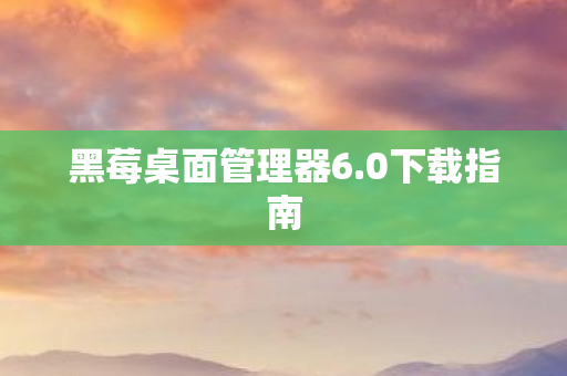 黑莓桌面管理器6.0下载指南 黑莓桌面管理器6.0下载指南
