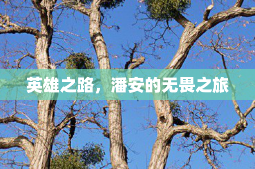 英雄之路,潘安的无畏之旅 英雄之路,潘安的无畏之旅