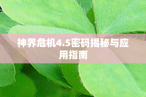神界危机4.5密码揭秘与应用指南