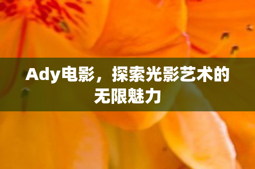 探索光影艺术的无限魅力图片