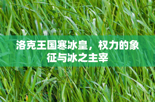 权力的象征与冰之主宰图片