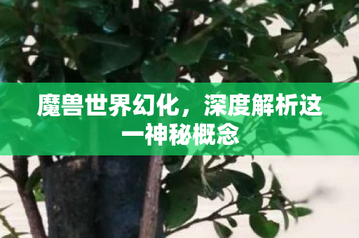 深度解析这一神秘概念图片