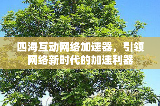 引领网络新时代的加速利器图片