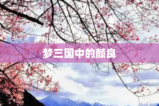 梦三国中的颜良图片