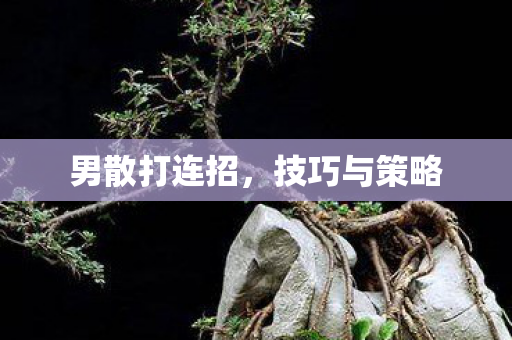 男散打连招图片