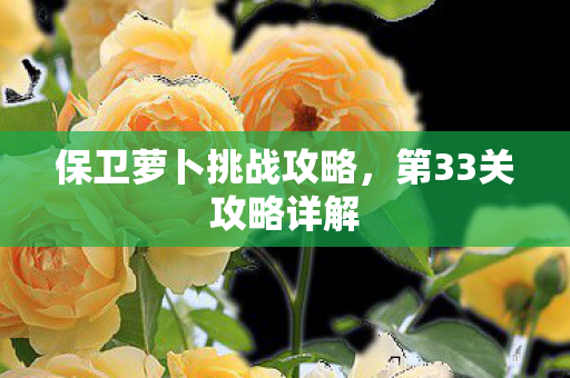 保卫萝卜挑战攻略,第33关攻略详解 保卫萝卜挑战攻略,第33关攻略详解