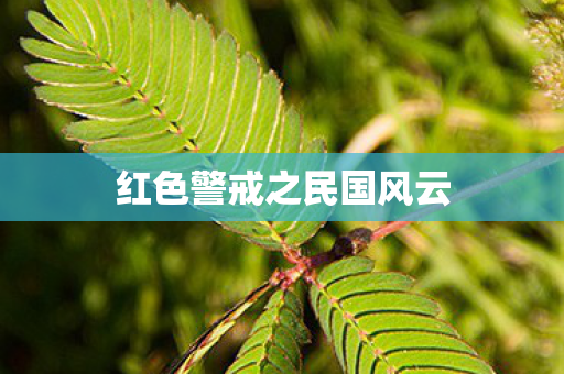 红色警戒之民国风云 红色警戒之民国风云