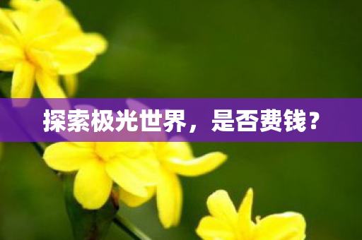 探索极光世界,是否费钱? 探索极光世界,是否费钱?