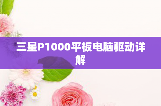 三星P1000平板电脑驱动详解 三星P1000平板电脑驱动详解