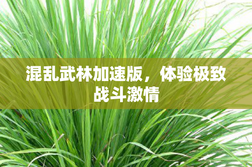 混乱武林加速版,体验极致战斗激情 混乱武林加速版,体验极致战斗激情