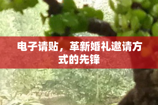 电子请贴,革新婚礼邀请方式的先锋 电子请贴,革新婚礼邀请方式的先锋