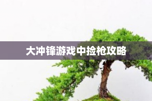 大冲锋游戏中捡枪攻略图片