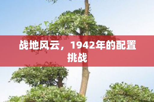 1942年的配置挑战图片