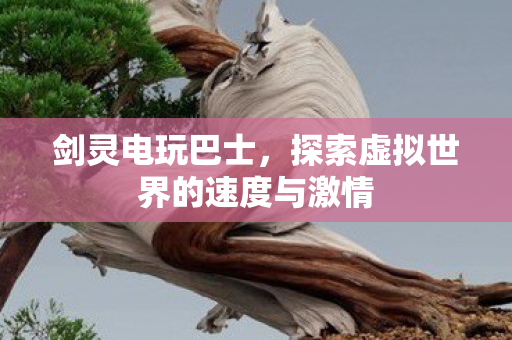 探索虚拟世界的速度与激情图片