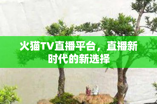 火猫TV直播平台,直播新时代的新选择 火猫TV直播平台,直播新时代的新选择
