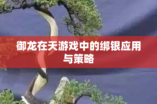 御龙在天游戏中的绑银应用与策略 御龙在天游戏中的绑银应用与策略