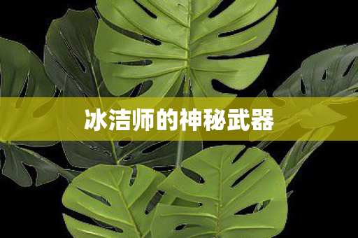 冰洁师的神秘武器图片