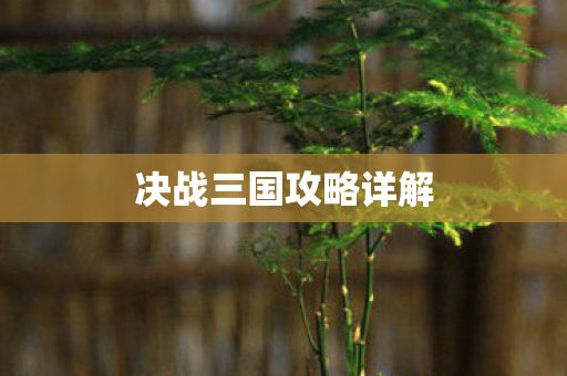 决战三国攻略详解图片