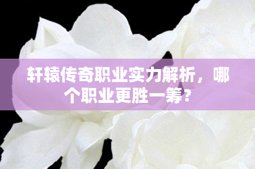 轩辕传奇职业实力解析图片